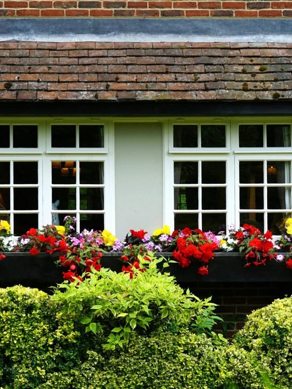 pexels-mikebirdy-120173 pexels-mikebirdy-120173